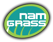 Nam Grass